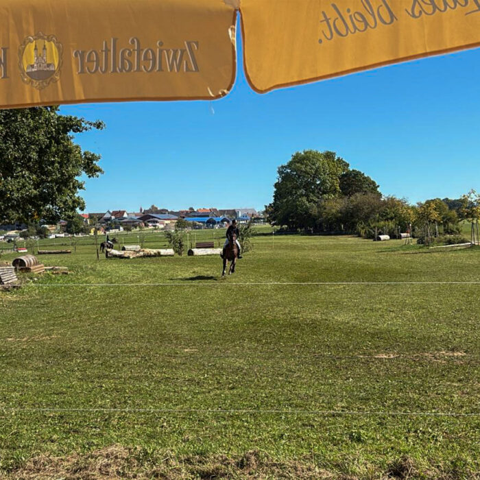 Pferdekoppel mit einer Beachflag von Equimore